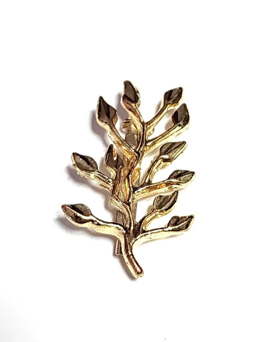 Edition Atlas leaf & branch brooch